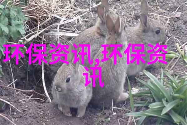 招商引资项目没有特权扬尘污染不能三不管