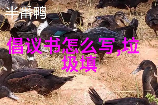 推进燃煤机组深度脱硝助力电力工业减污增绿