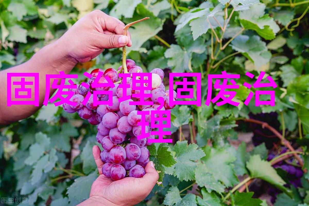 陕西环保集团与中国光大绿色环保公司座谈交流