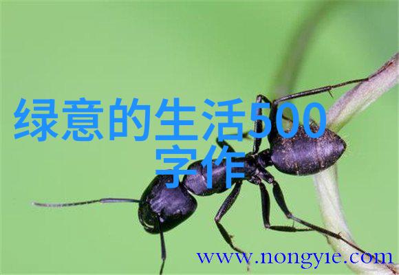 为美丽中国增绿添彩 能源领域节能降碳施工图明确