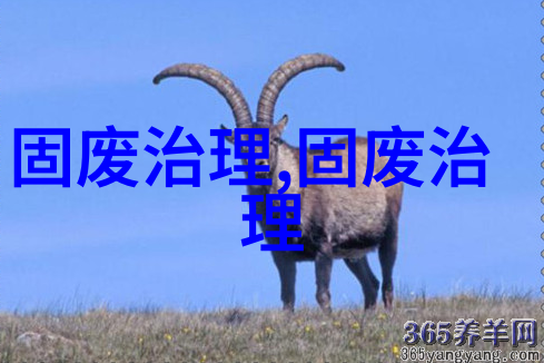 统筹安排资金超40亿元上海加大力度推进消费品以旧换新